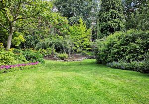 Optimiser l'expérience du jardin à Curtil-Vergy